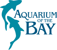 Aquarium Of The Bay